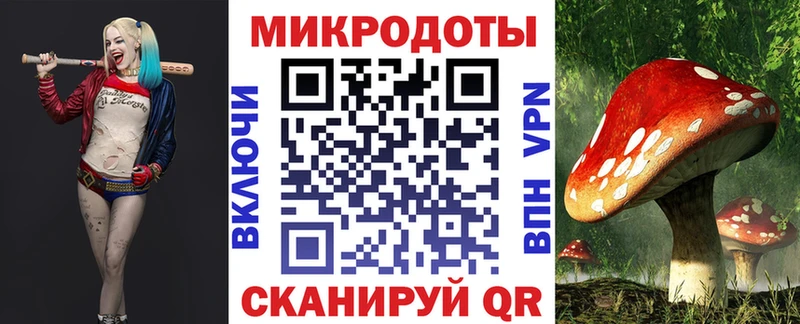 Псилоцибиновые грибы GOLDEN TEACHER как найти наркотики OMG рабочий сайт Орёл